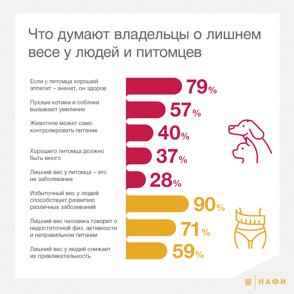 NAFI_info_cut05.png