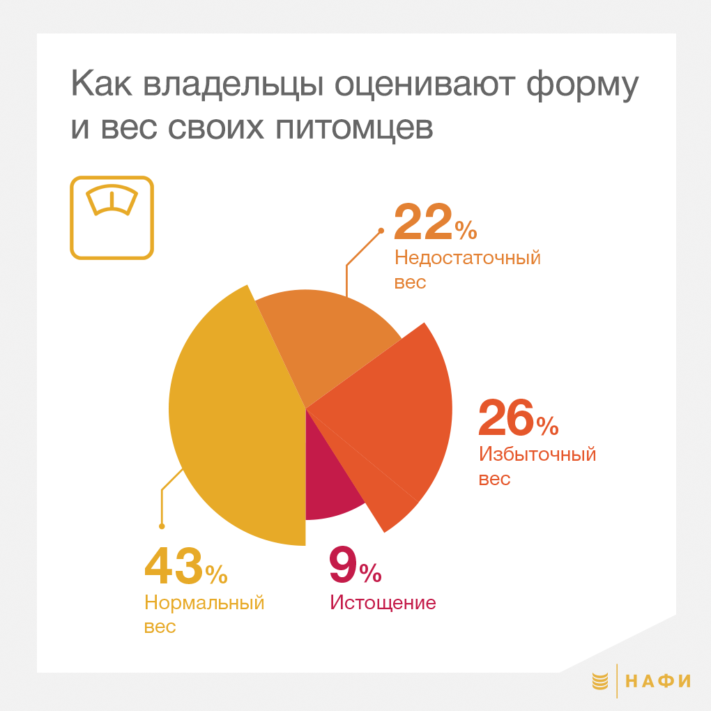 NAFI_info_cut01.png