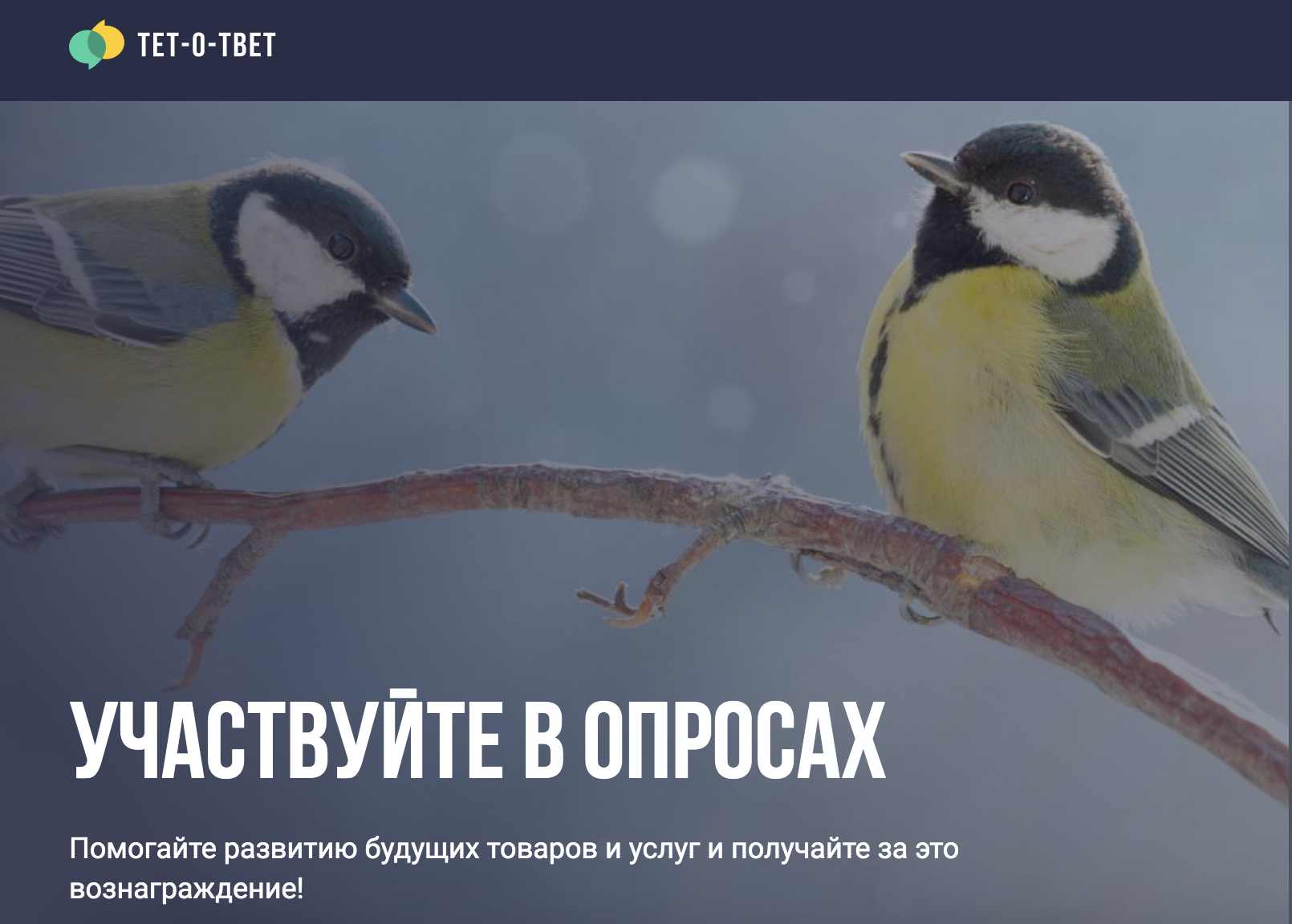 Тет.png